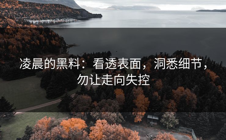凌晨的黑料：看透表面，洞悉细节，勿让走向失控