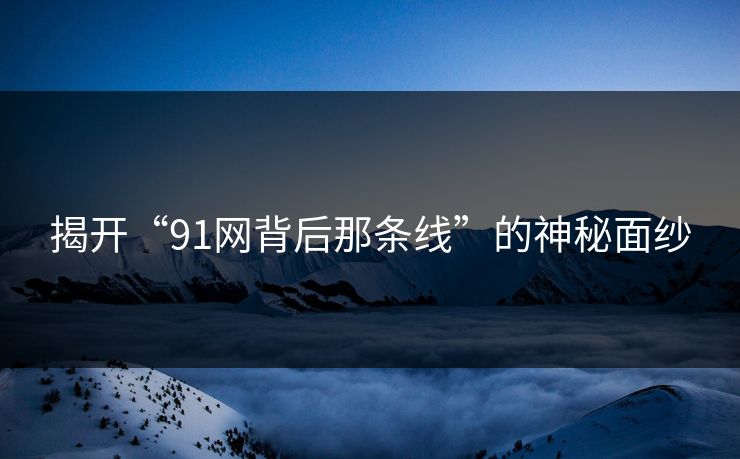 揭开“91网背后那条线”的神秘面纱