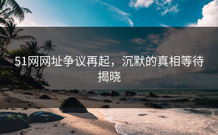 51网网址争议再起，沉默的真相等待揭晓