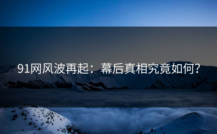 91网风波再起：幕后真相究竟如何？