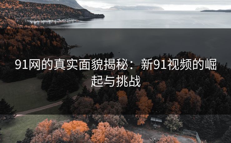 91网的真实面貌揭秘：新91视频的崛起与挑战