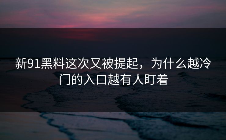 新91黑料这次又被提起，为什么越冷门的入口越有人盯着