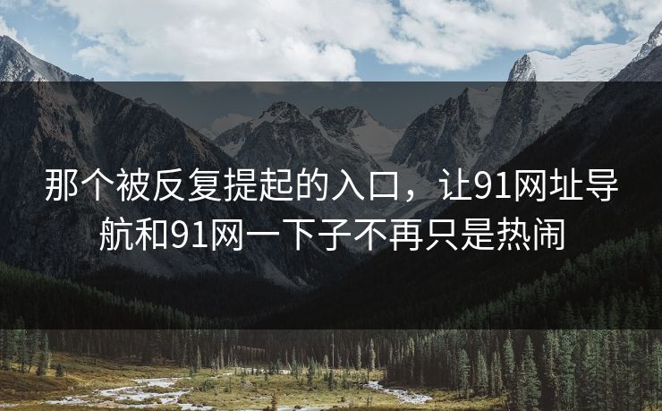 那个被反复提起的入口，让91网址导航和91网一下子不再只是热闹