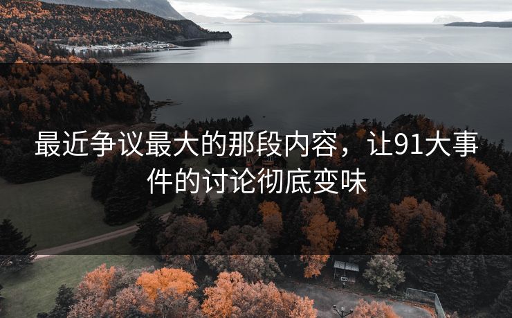 最近争议最大的那段内容，让91大事件的讨论彻底变味