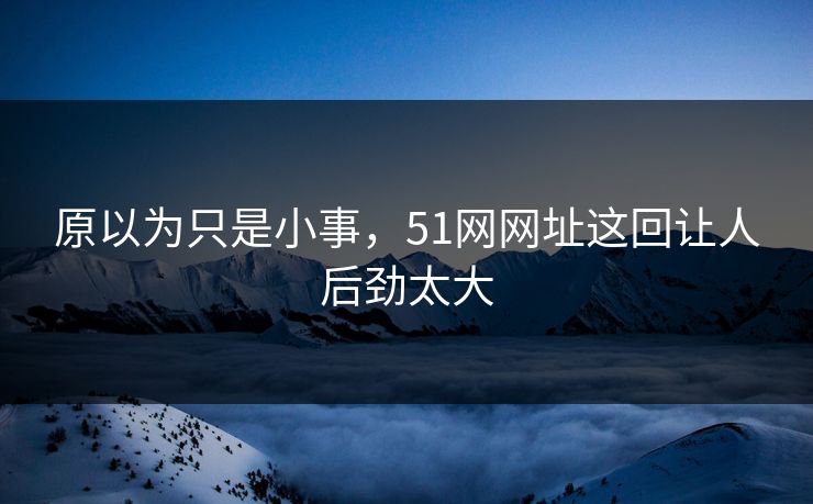 原以为只是小事，51网网址这回让人后劲太大
